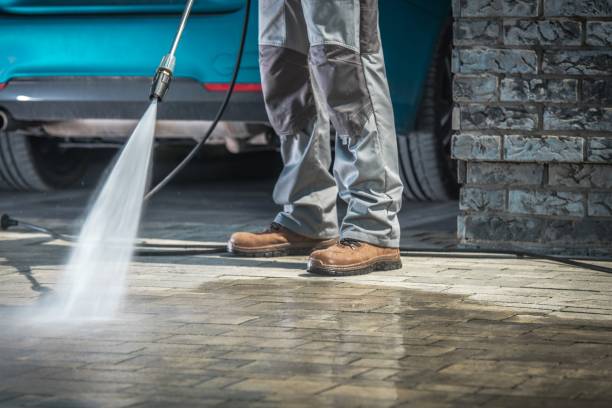 Best Pre-Holiday Cleaning  in North Hills, NY