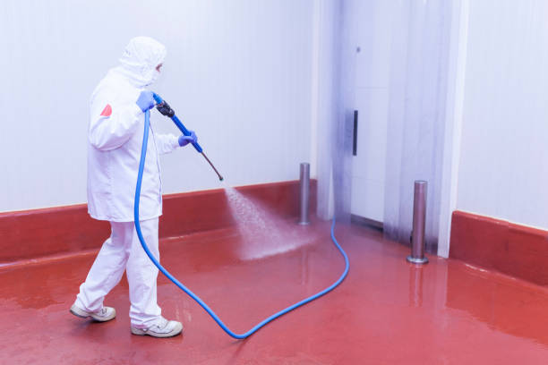 Reliable North Hills, NY Pressure Washing Solutions
