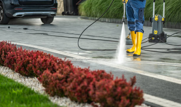 Best Building Exterior Washing  in North Hills, NY